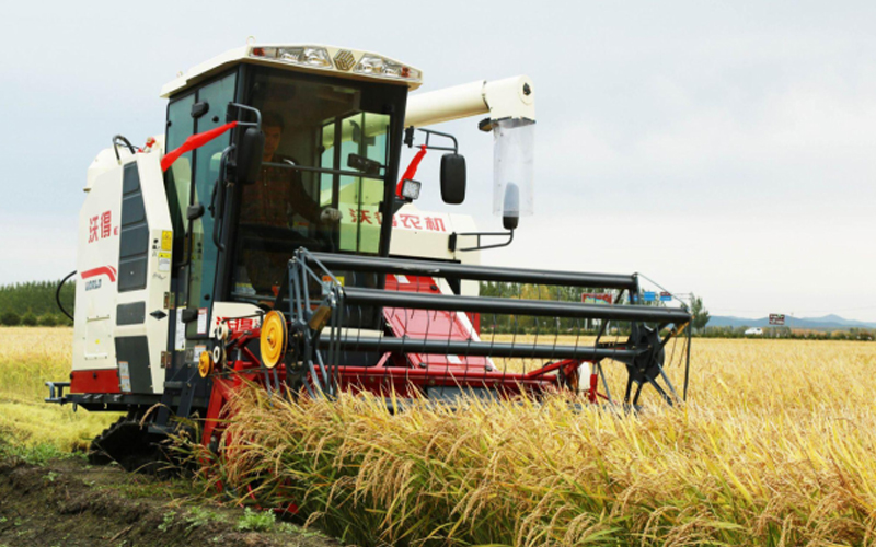 Una cosechadora fabricada por FMWorld está actualmente en funcionamiento en un arrozal.