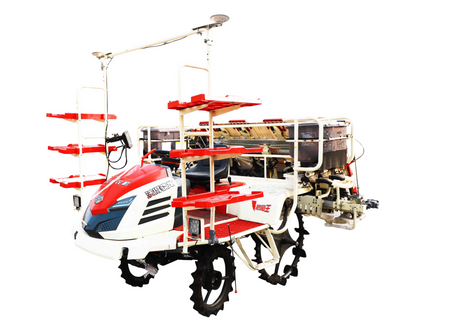 Trasplantadora de arroz para montar FMWORLD - 8 filas (2ZGF-8G)